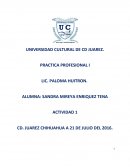 PRACTICA PROFESIONAL I.