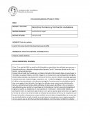 Violacion, Dolor, Maltrato FECHA, DESCRIPCION, RESUMEN.