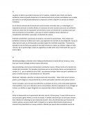 La gente no sabe lo que quiere hasta que se lo muestras