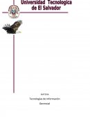 Tecnologías de información. Evaluación parcial