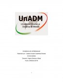 IMPACTO DE LA CONDUCTA INDIVIDUAL EN EL DESEMPEÑO DE UN INTEGRANTE DE LA ORGANIZACIÓN.