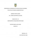 INSTRUMENTOS FINANCIEROS POR PAGAR.