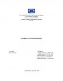 Tema- Sistema de Información.