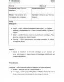 ANALISIS DEL CASO CAMISAS RANGER