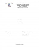 Tarea 4. EL DISCURSO