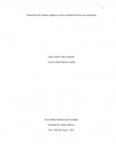 Tratamiento de residuos orgánicos caseros mediante procesos de compostaje