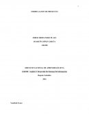 FORMULACIÓN DEL PROYECTO.