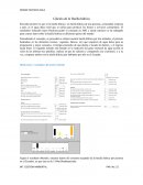 Cálculo de la Huella hídrica