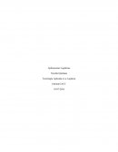 Tecnología Aplicada a La Logística.