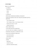 DOCUMENTACIÓN PARA DESARROLLO DEL BRIEF DEL CASO DE ÉXITO