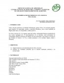 TECNÓLOGO EN PROCESAMIENTO DE ALIMENTOS.