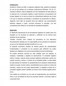 El desarrollo exponencial de los proveedores logísticos ha creado toma una disciplina en los procesos de selección y definición de los mismos para beneficio de las empresas.