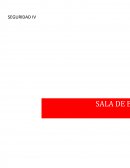 SEGURIDAD IV