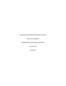 DESCRIPCION DE PROCESOS DEL PROYECTO EVALUADO