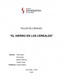 Hierro en los cereales