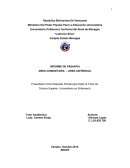 INFORME DE PASANTIA. AREA COMUNITARIA – AREA ASITENCIAL