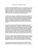 LA DISTORSIÓN DE LA IMAGEN TELEVISIVA