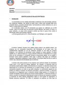 IDENTIFICACION DE ENLACES PEPTÍDICOS.