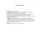 Estrategias de Enseñanzas.