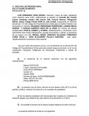 Informacion ad perpetuam automovil factura robada.