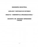ENSAYO: “CIBERNÉTICA ORGANIZACIONAL”