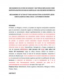 MECANISMOS DE ACCIÓN DE HONGOS Y BACTERIAS EMPLEADOS COMO BIOFERTILIZANTES EN SUELOS AGRÍCOLAS: UNA REVISIÓN SISTEMÁTICA