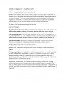 Lesión, adaptación y muerte celular