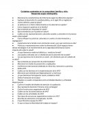 Cuidados centrados en la comunidad, familia y niño.