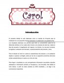 Unos Proyectos de inversion.