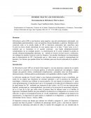 INFORME PRÁCTICA DE INMUNOLOGÍA