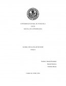 ANALISIS ANTROPOLOGICO: GLOBAL METAL, BLADE RUNNER.