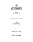 ENSAYO SOBRE ESTRUCTURA DEL MERCADO DE CAPITALES