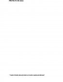 FORMULACION ESTRATEGICA DE PROBLEMAS.