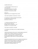 FUNDAMENTOS FISICOS CAMPOS ESPECIALES