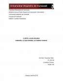 CAMPAÑA PUBLICITARIA AVIOR