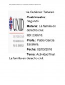Actividad final La familia en derecho civil.