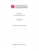 Hidratos de carbono.