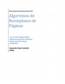 Algoritmos de Reemplazo de Páginas