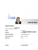 Formato hoja de vida.