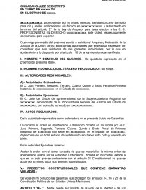 Ejemplo de amparo vs orden de aprehensión.. Página 1