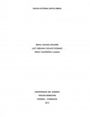 DEUDA EXTERNA EN COLOMBIA.