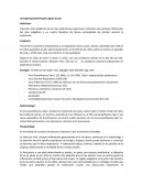 Infección vírica pediátrica de las vías respiratorias superiores e inferiores que produce inflamación del área subglótica y un cuadro llamativo de disnea acompañada de estridor durante la inspiración..