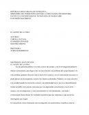 Analisis del aceite de la vida