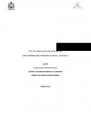 TIPO DE MINERALIZACIÓN DENTRO DEL ÁREA MINERALIZADA PRIMERO DE MAYO, ZACATECAS.