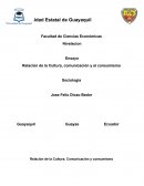 Relación de la Cultura, comunicación y el consumismo