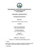 PRODUCTOS CONCENTRADOS Y SALSAS.