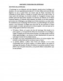 ANATOMÍA Y FISIOLOGIA DEL ESTÓMAGO