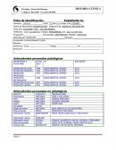 HISTORIAL CLINICO EJEMPLO