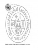 Derechos Humano y la Memoria historica