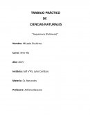 TRABAJO PRÁCTICO DE CIENCIAS NATURALES